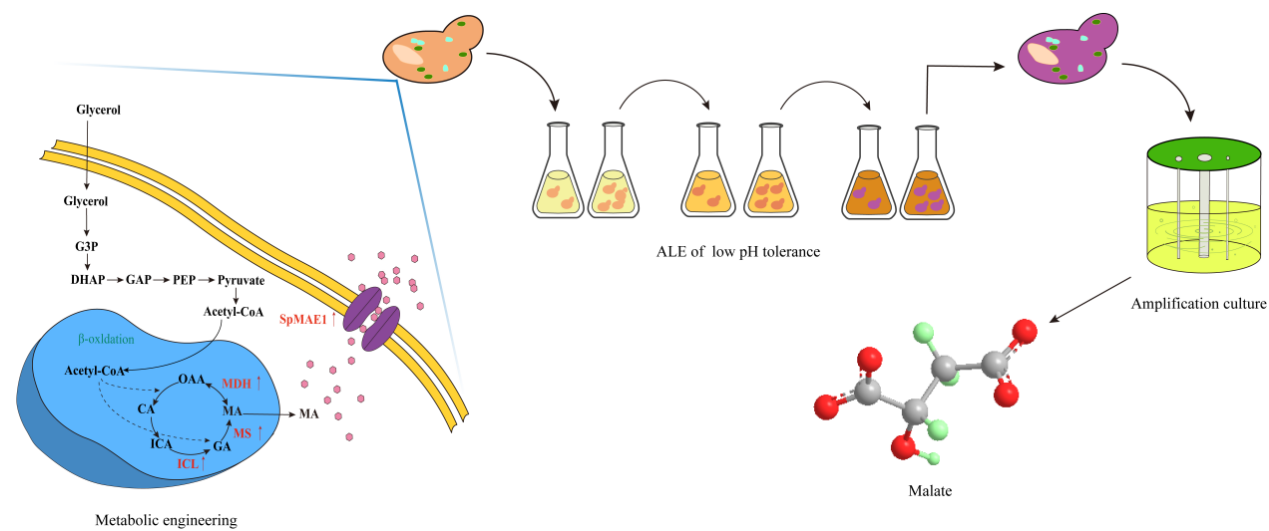 00a03904d17c47769a2f439c4e691cfa.png 00a03904d17c47769a2f439c4e691cfa.png